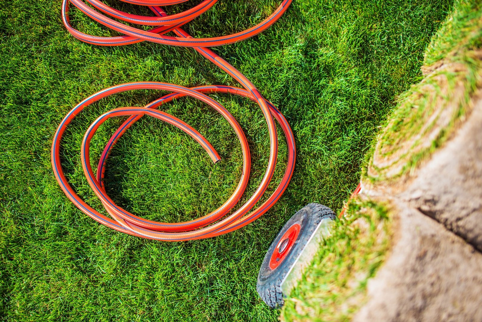 Alter und neuer Gartenschlauch im Vergleich