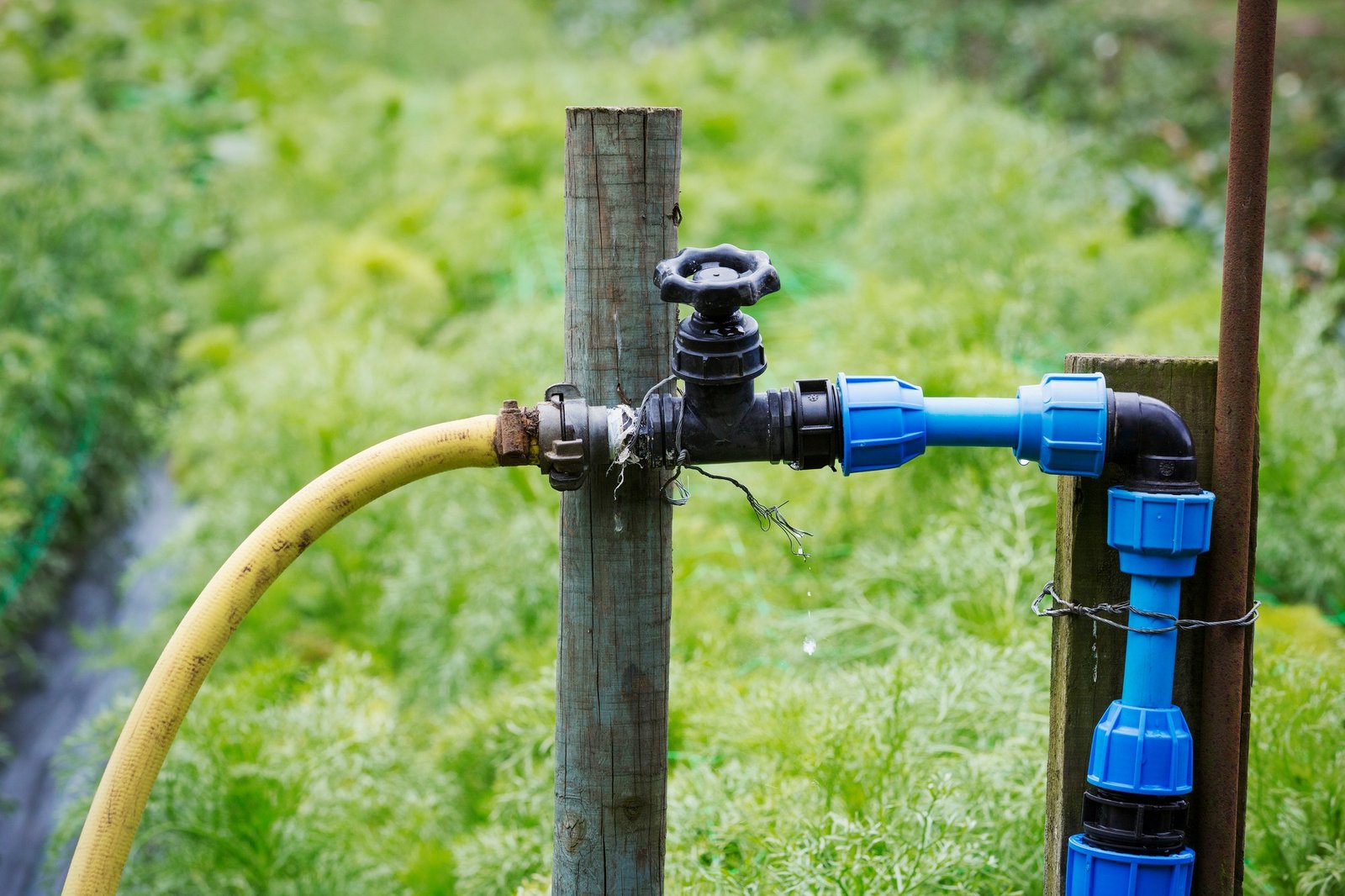 Gartenschlauch tropft sofort beim Aufdrehen