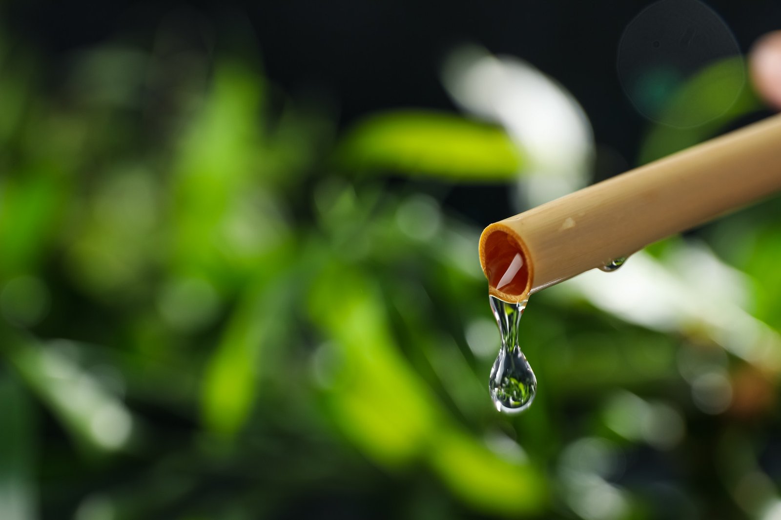 Leicht tropfender Gartenschlauch im Garten