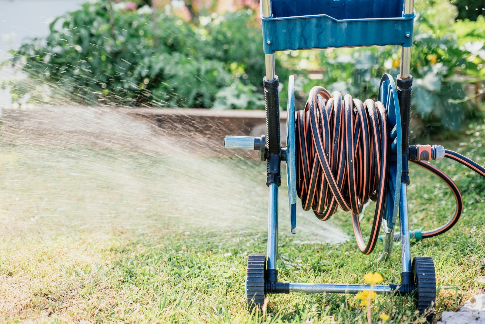 Schlauchbox mit aufgerolltem Gartenschlauch